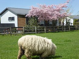 Cottages on St Andrews