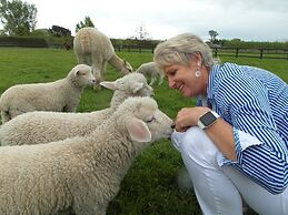 Cottages on St Andrews