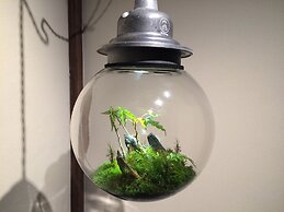 Your Pavilion near Kinkakuji