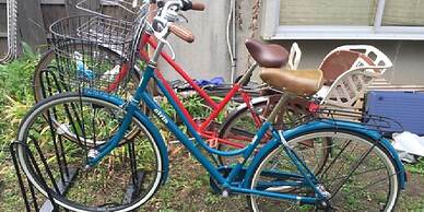 Your Pavilion near Kinkakuji