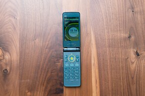 Your Pavilion near Kinkakuji