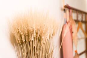 Your Pavilion near Kinkakuji