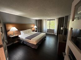Hotel Chrome Montreal