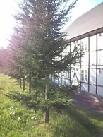 Petit Hotel Gracey Tomamu