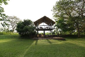 Sigiriya Jungles