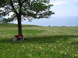 Cimon Dolomites Hotel