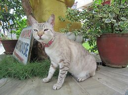 New Annapurna Guest House