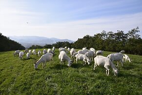 Farm Inn Dococa Farm