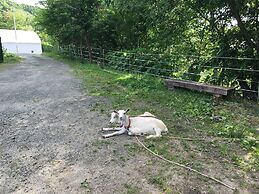 Farm Inn Dococa Farm