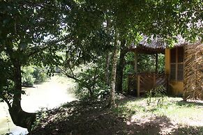 Tanager Rainforest Lodge