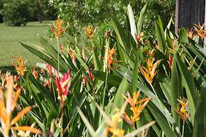 Tanager Rainforest Lodge