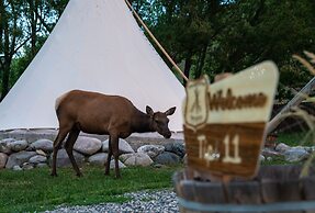 Dreamcatcher Tipi Hotel