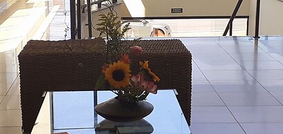 Jangada Flat Service