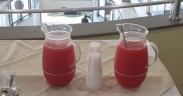 Jangada Flat Service