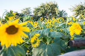 Tulbagh Country Guest House