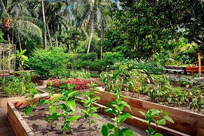 The St. Regis Maldives Vommuli Resort