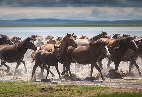 Travel Mongolia Guesthouse