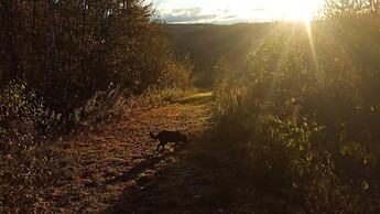 Tug Hill Resort