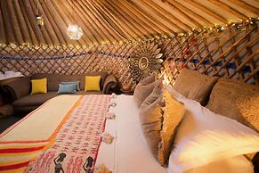 Wester Auchraw Croft B&B