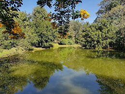 Grínberg's Village Hotel