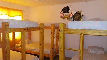 Taganga Paradise Hostal & Diving - Hostel