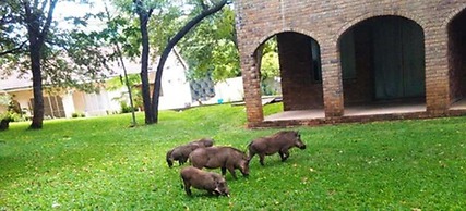 The View Lodge