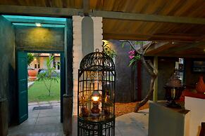 Morning Star Guest House