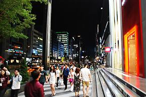 Gangnam AN Guesthouse - Hostel