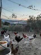 El Rincón de Carmen