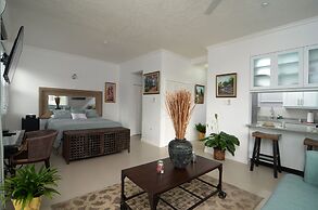 Kingsway New Kingston Guest Apartment II