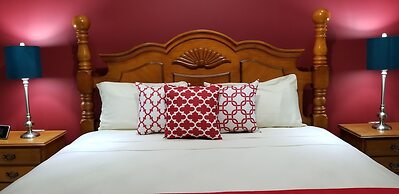 New Kingston Guest Apartment at Donhead