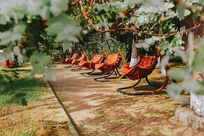 Hotel Dreamland Oasis