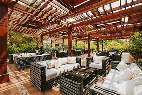 Hotel Dreamland Oasis