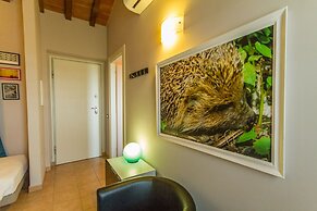 Tenuta Borgo Santa Cecilia