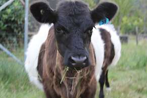 The Barn Cabins & Camp