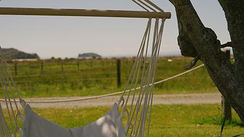 The Barn Cabins & Camp