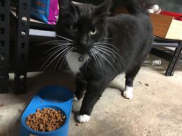 The Barn Cabins & Camp