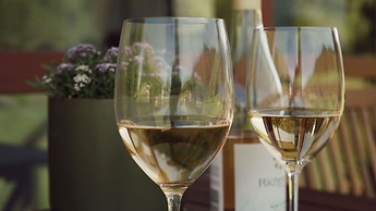 The Barn Cabins & Camp