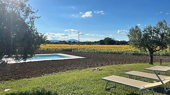 Assisium Agriturismo