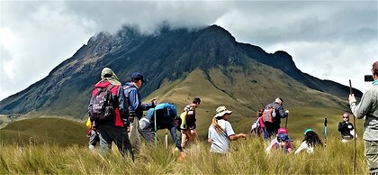 Green House Araque Inn