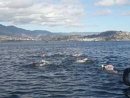 Green House Araque Inn