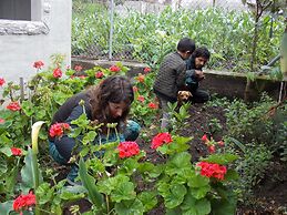 Green House Araque Inn