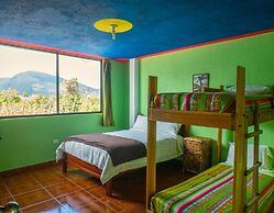 Green House Araque Inn