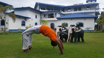 Dhammika Magic Palace