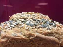 The Old Mill Holiday Hostel