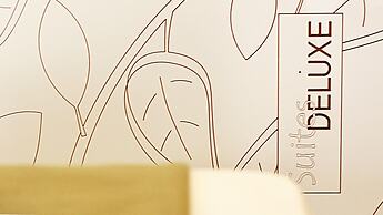 Apartamentos Suites Oficentro Deluxe