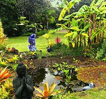 Volcano Artist Cottage