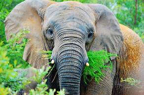 Sea Star Golf and Safari Resort