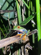 Kakao Lodge & Garden Río Celeste