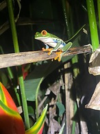 Kakao Lodge & Garden Río Celeste